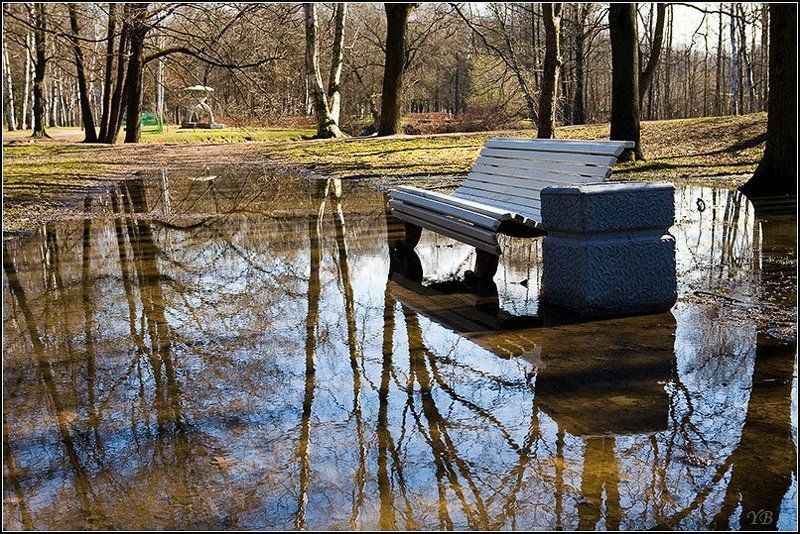 крестовский, остров, весна весна на Крестовском фото превью
