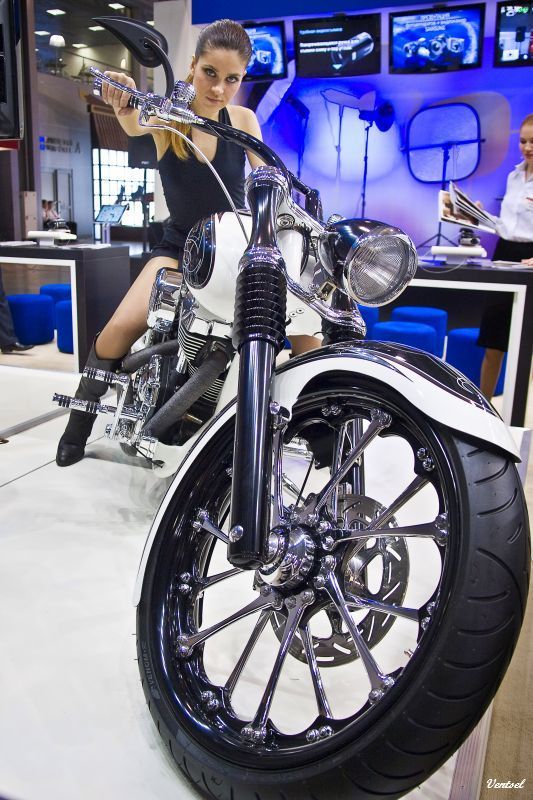 Колесико 2     (Фотофорум 2008) фото превью