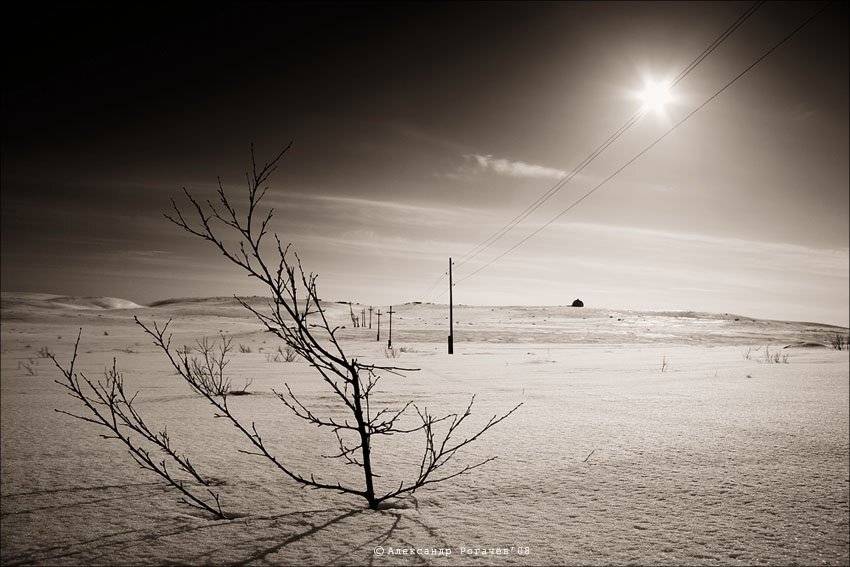 мурманск,тундра, Александр Рогачёв