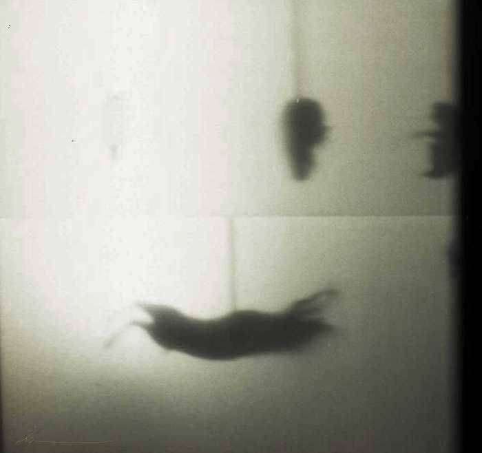 keep_smiling_for_me, Deep in Violet