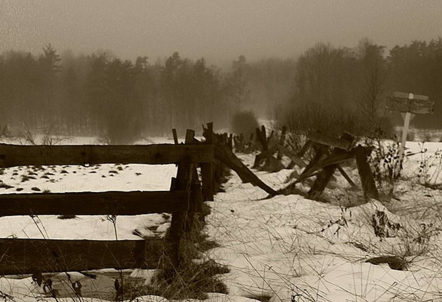 , Анна Круглова