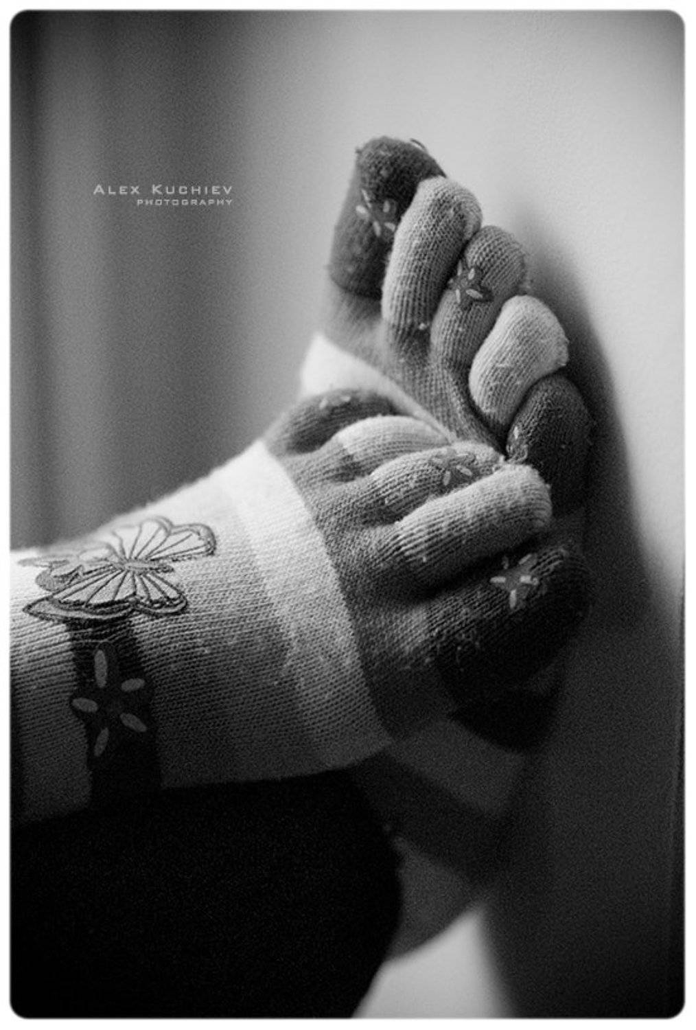 носочки, кучиев, александр, tierchen, penquanta, чб, тепло, Кучиев Александр