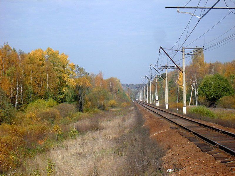 Дорога в осень фото превью