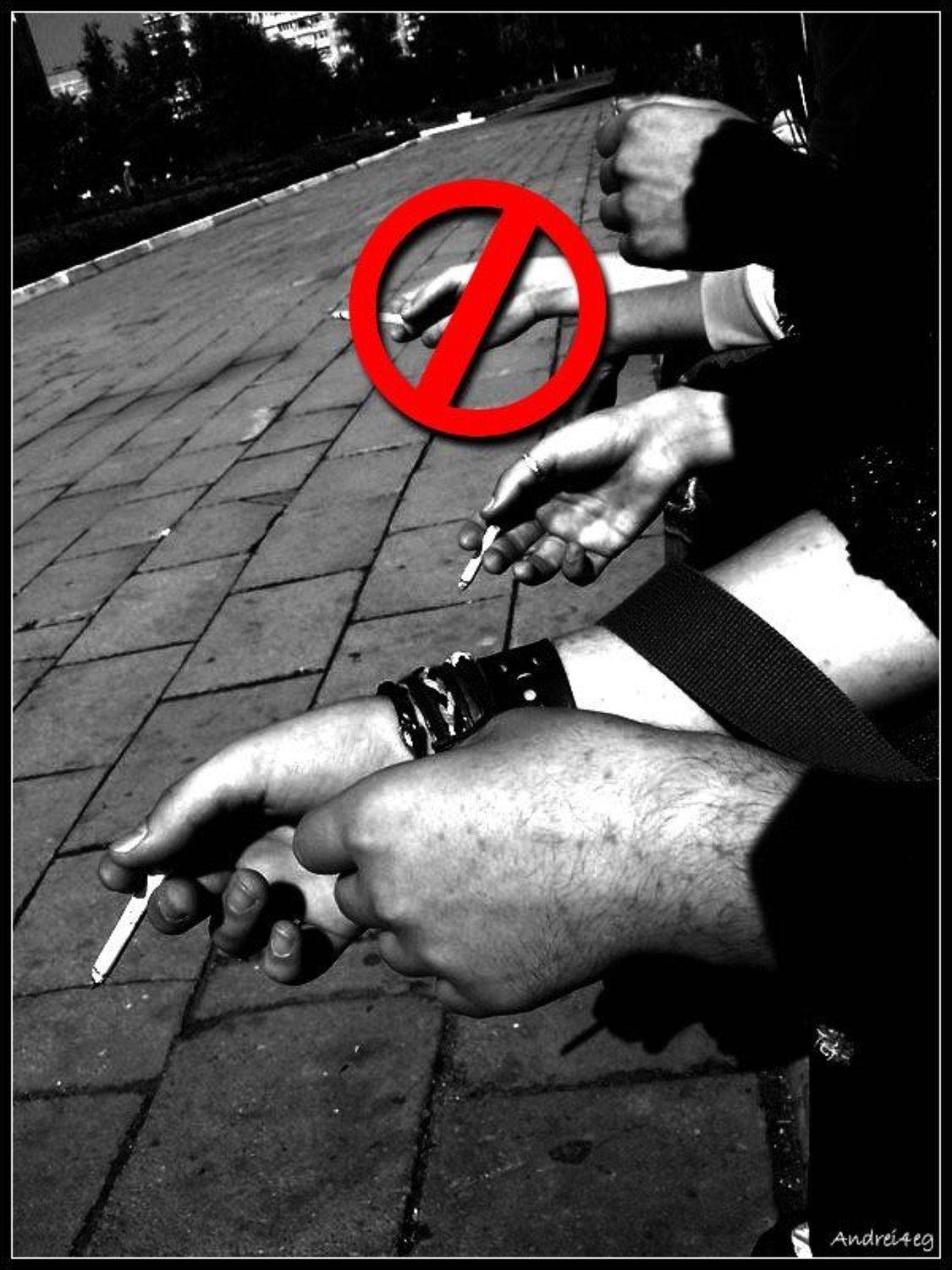 , Андрей Пипченко