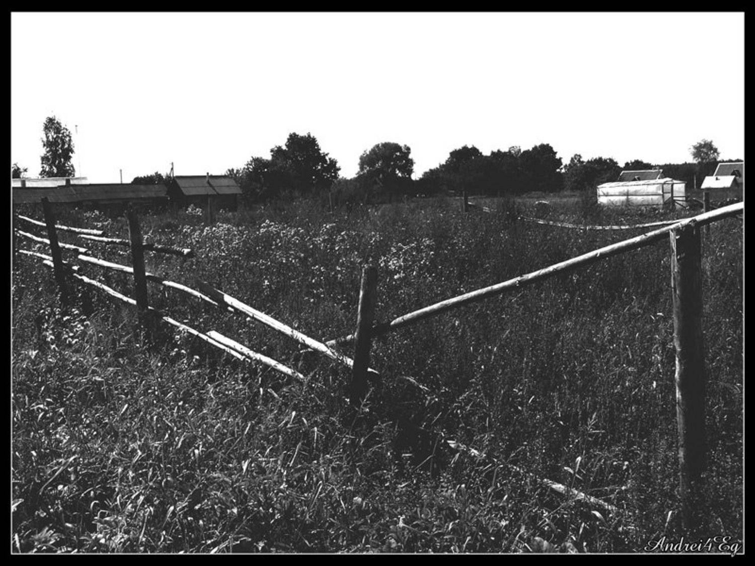 , Андрей Пипченко