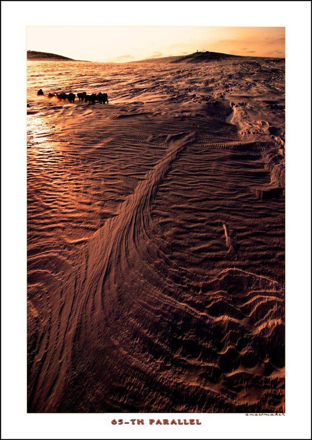 фото, чукотка, гонки, собачья упряжка, снег, photo, chukotka, snowmaker, snowmaker