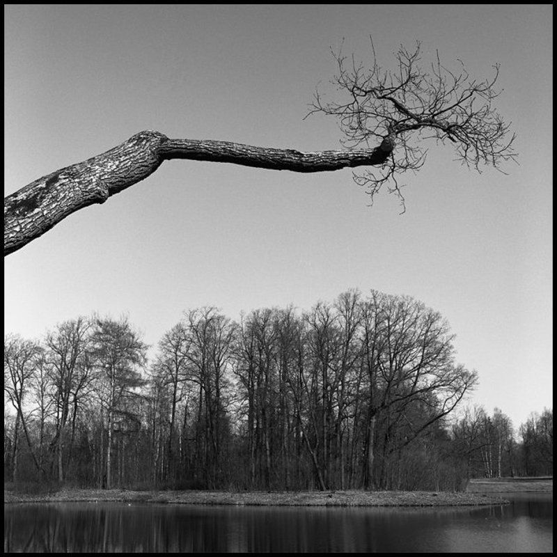 Павловский пейзаж фото превью