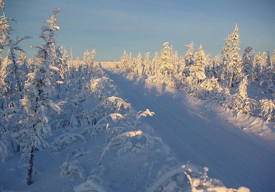 дорога,тайга,зима, Солодухин Виктор