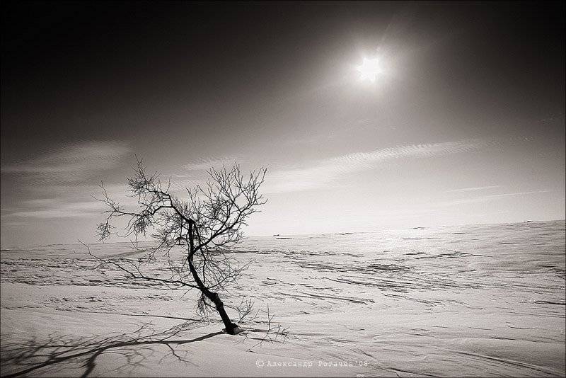 мурманск,тундра, Александр Рогачёв