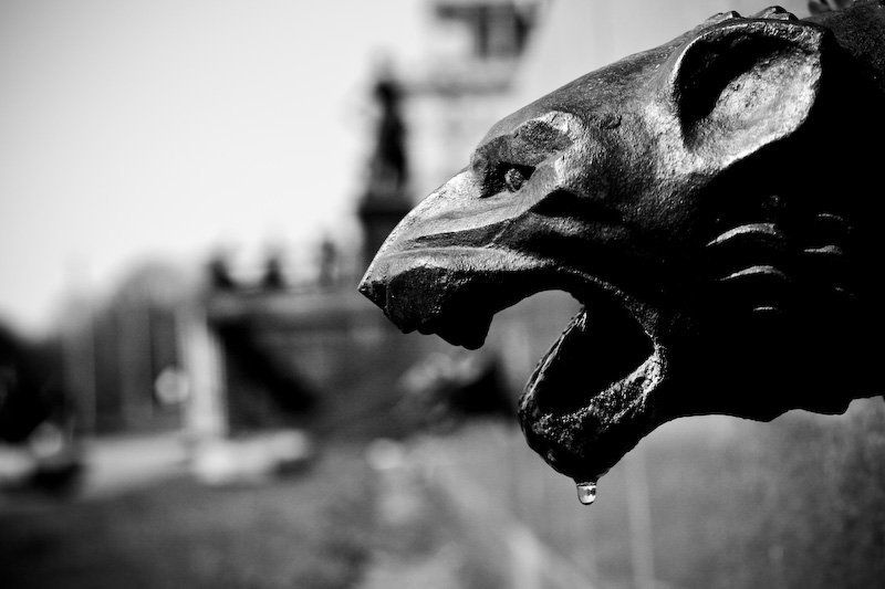 лев, город, голод, архитектура, камень, ч/б Голод фото превью