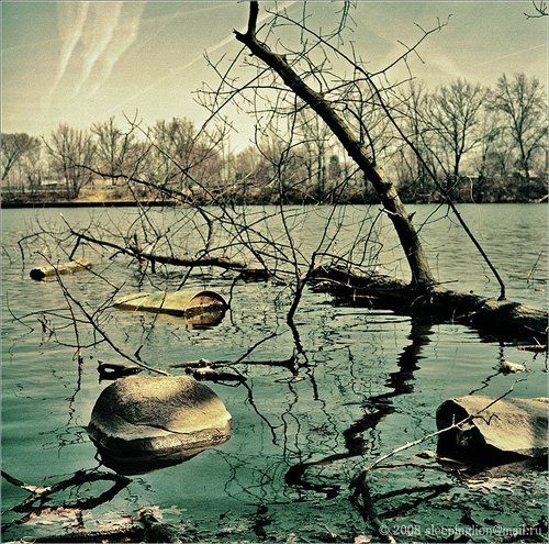 The Day of First Thunder...