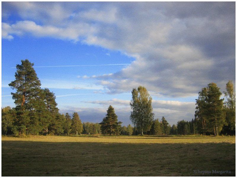 павловск. небо, осень Осеннее небо в Павловске фото превью