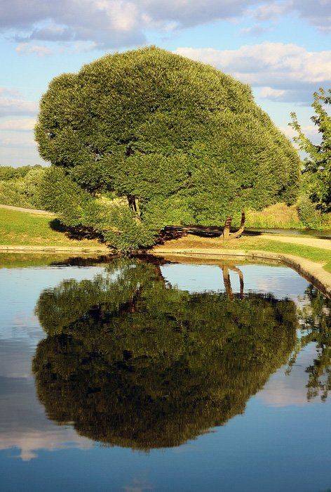 , Александр Соболев