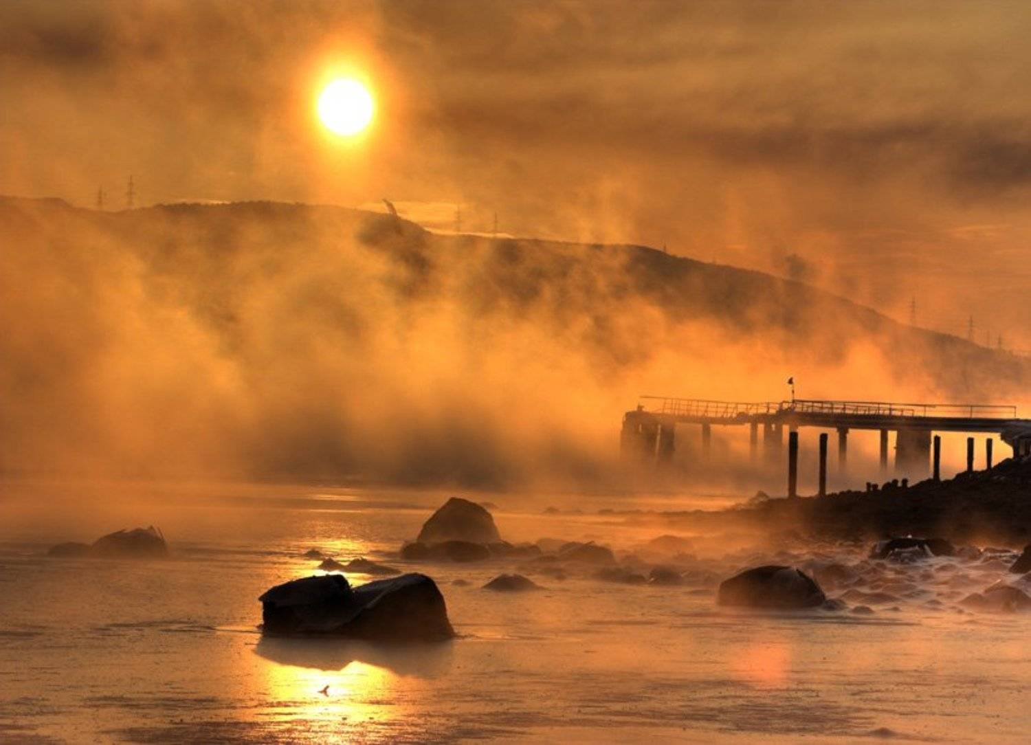 , АлексеевПавЮр_schtadler