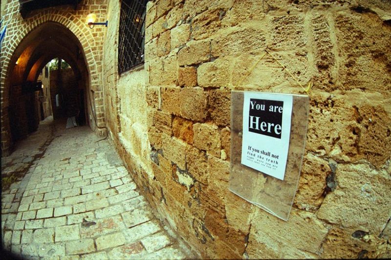 igalsc You are here фото превью