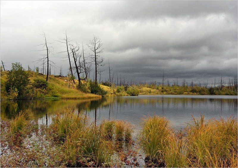 таймыр,осень,озеро хмурая фото превью