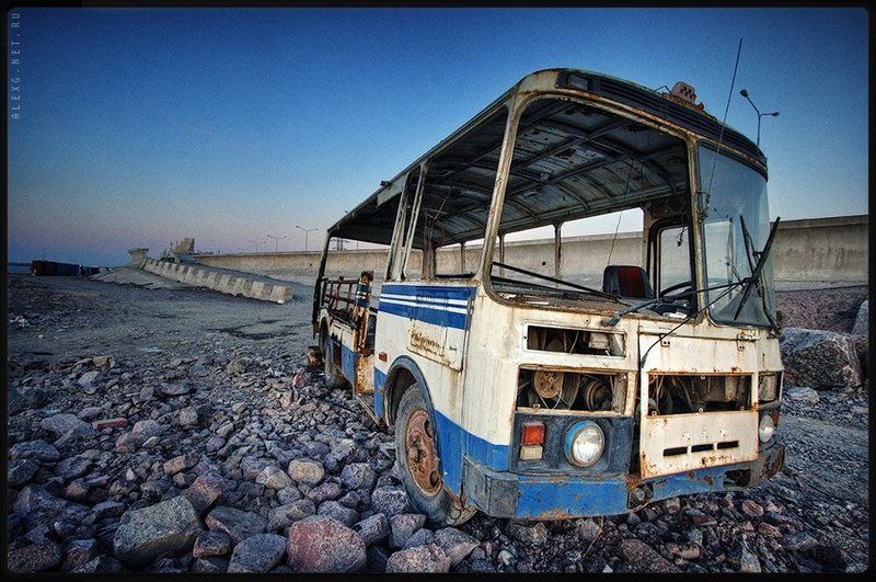 BUS фото превью