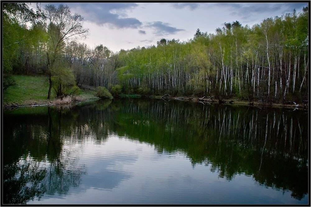 , Дмитрий Милосердов