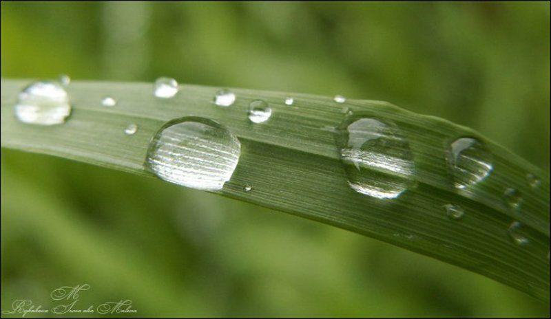 ... фото превью