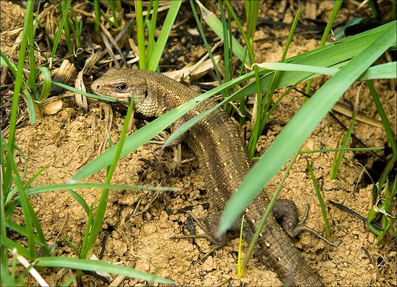 Ну и чего тебе?.. фото превью