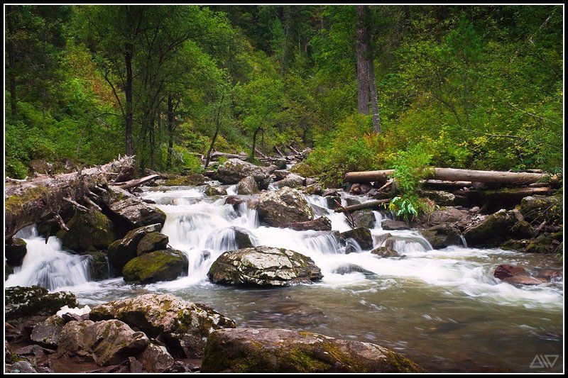 третья речка телецкое озеро Третья речка фото превью