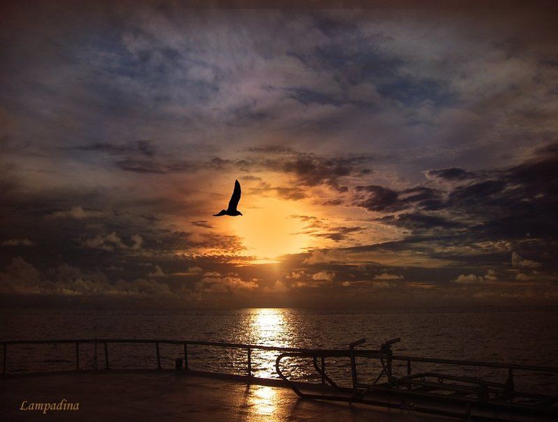 мальдивы, закат Телепортатор фото превью