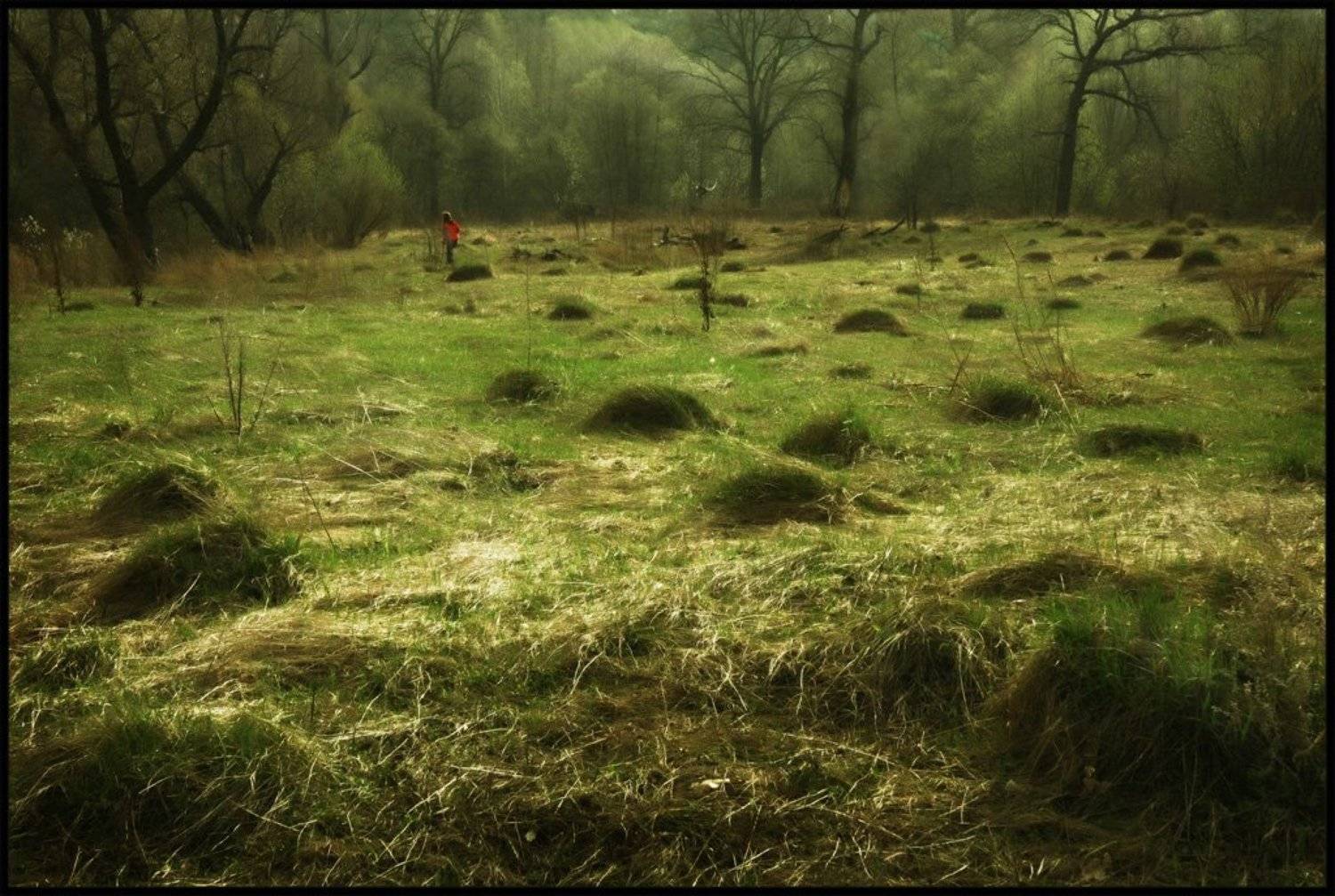 поле, холмы, человек, Сергей Дужников