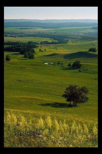 подкова