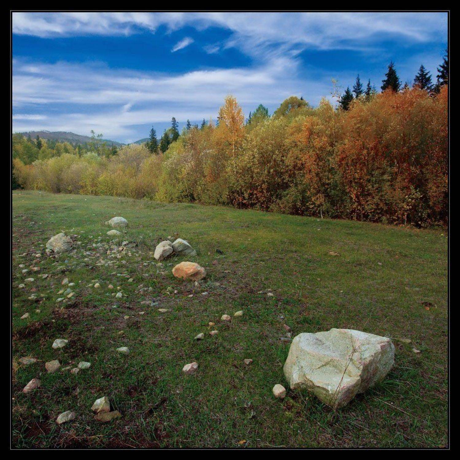 лес, небо, осень, i_GO