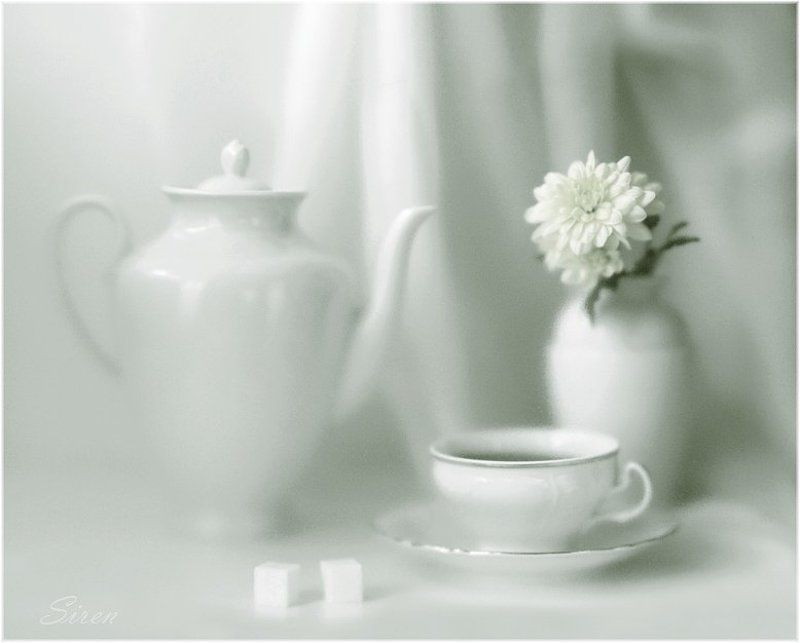 Утреняя свежесть фото превью