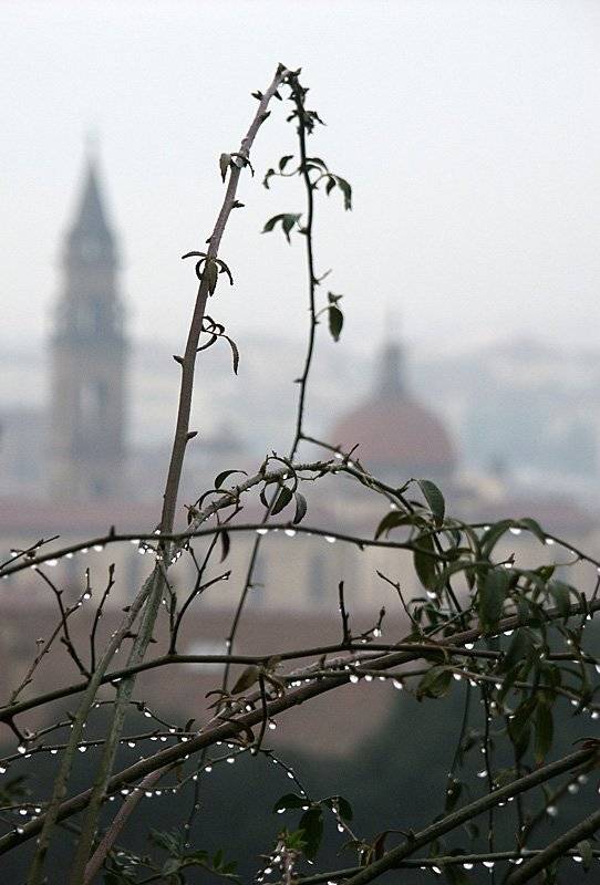 дождь, флоренция, Александр Цабель