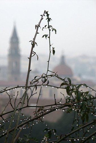 Дождливая Флоренция...