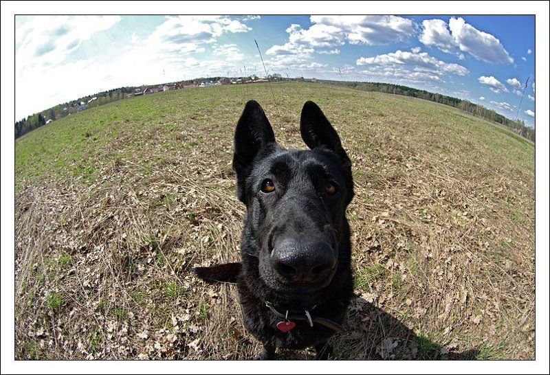 Обитаемая планета фото превью