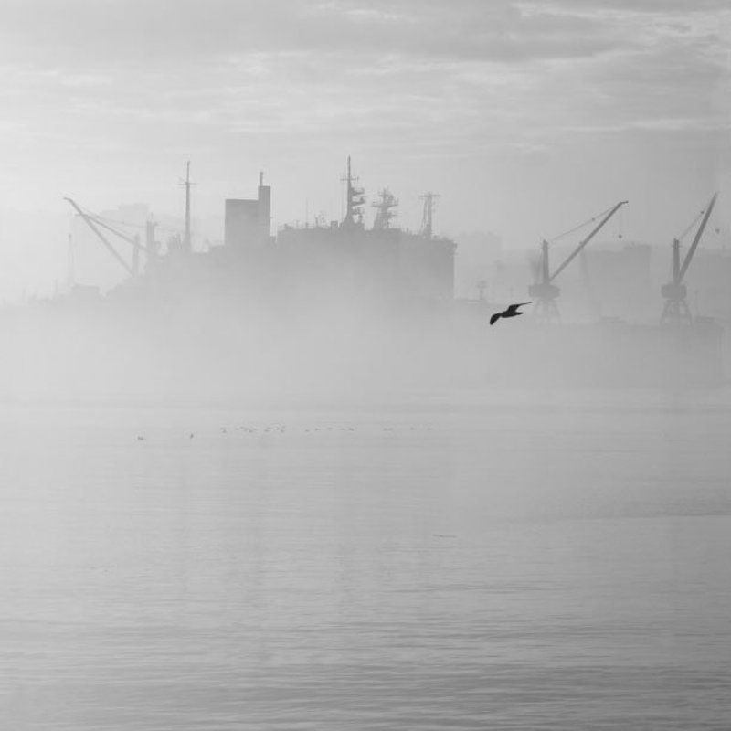 * фото превью