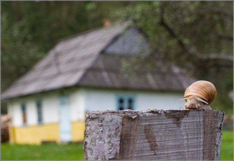 Я ОТ БАБУШКИ УШЕЛ... фото превью