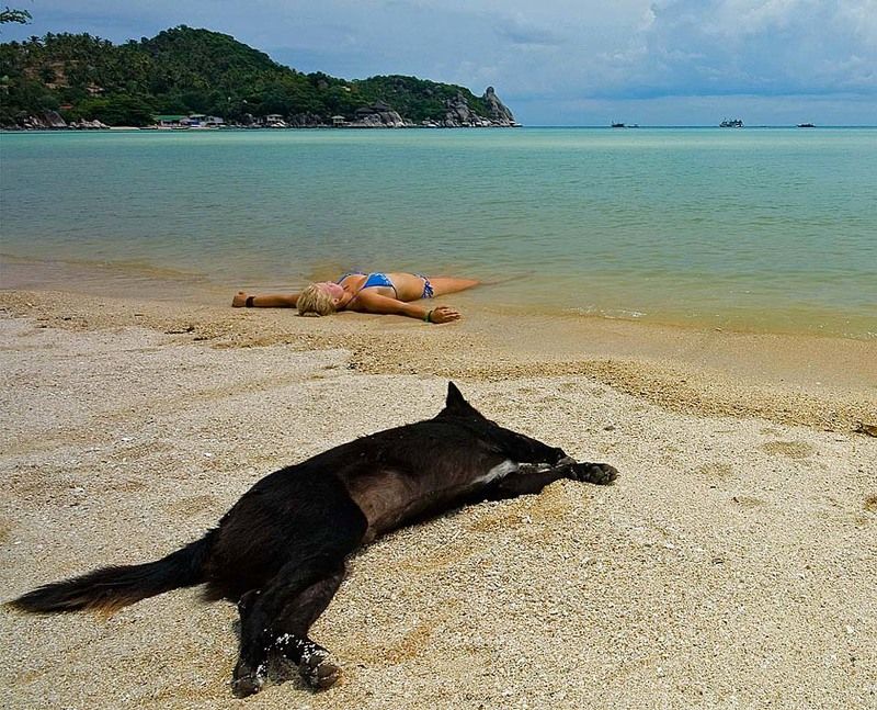 Полный релакс. фото превью