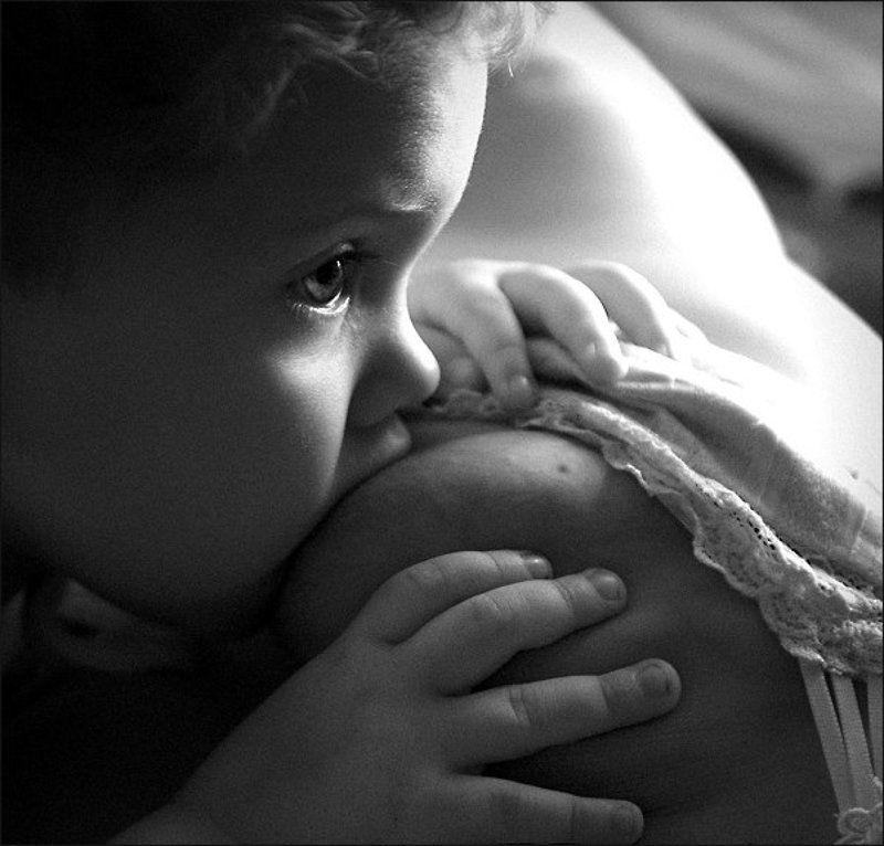 Пристроился... фото превью