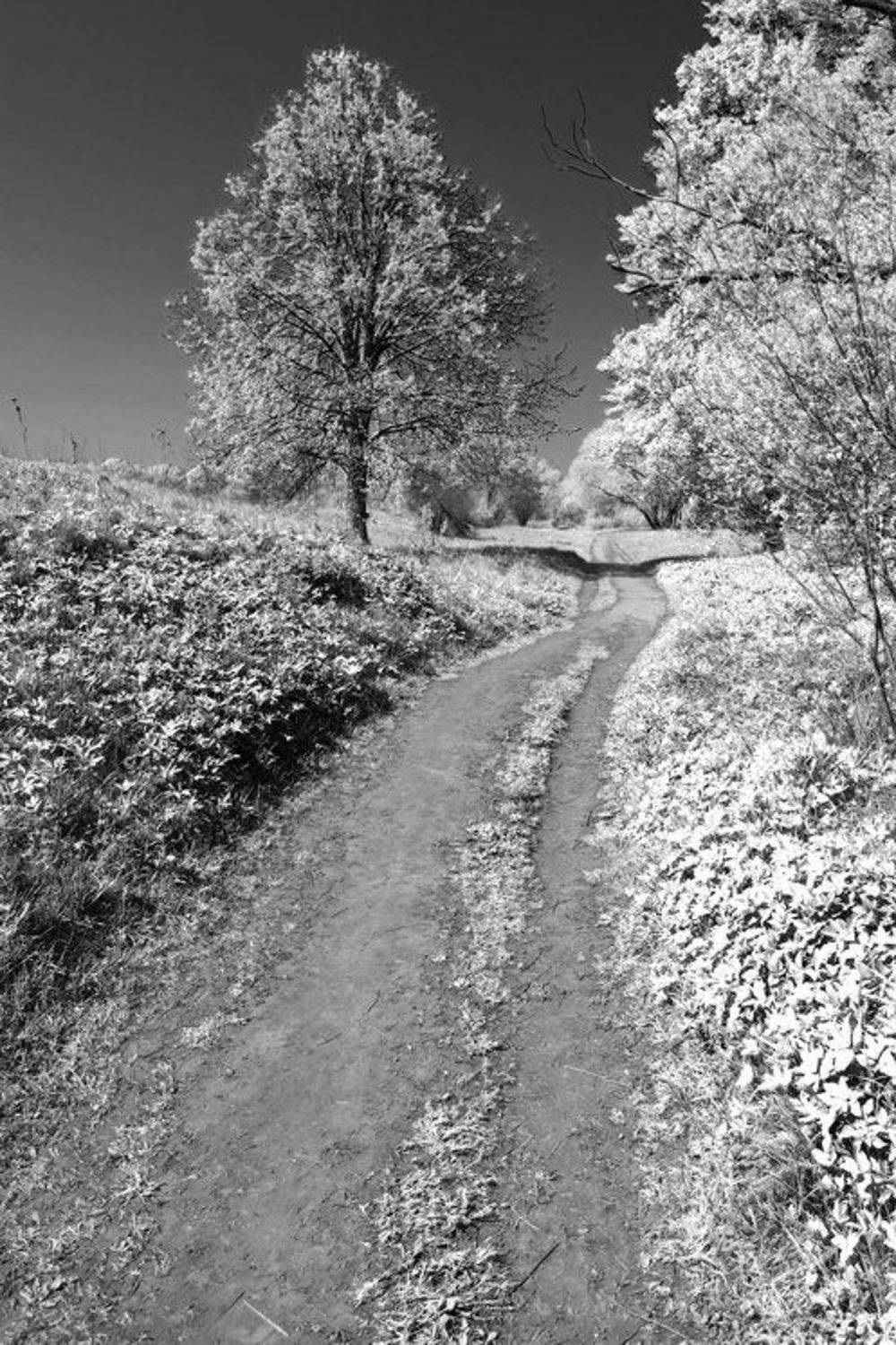 псевдо ик, сон, Andrey