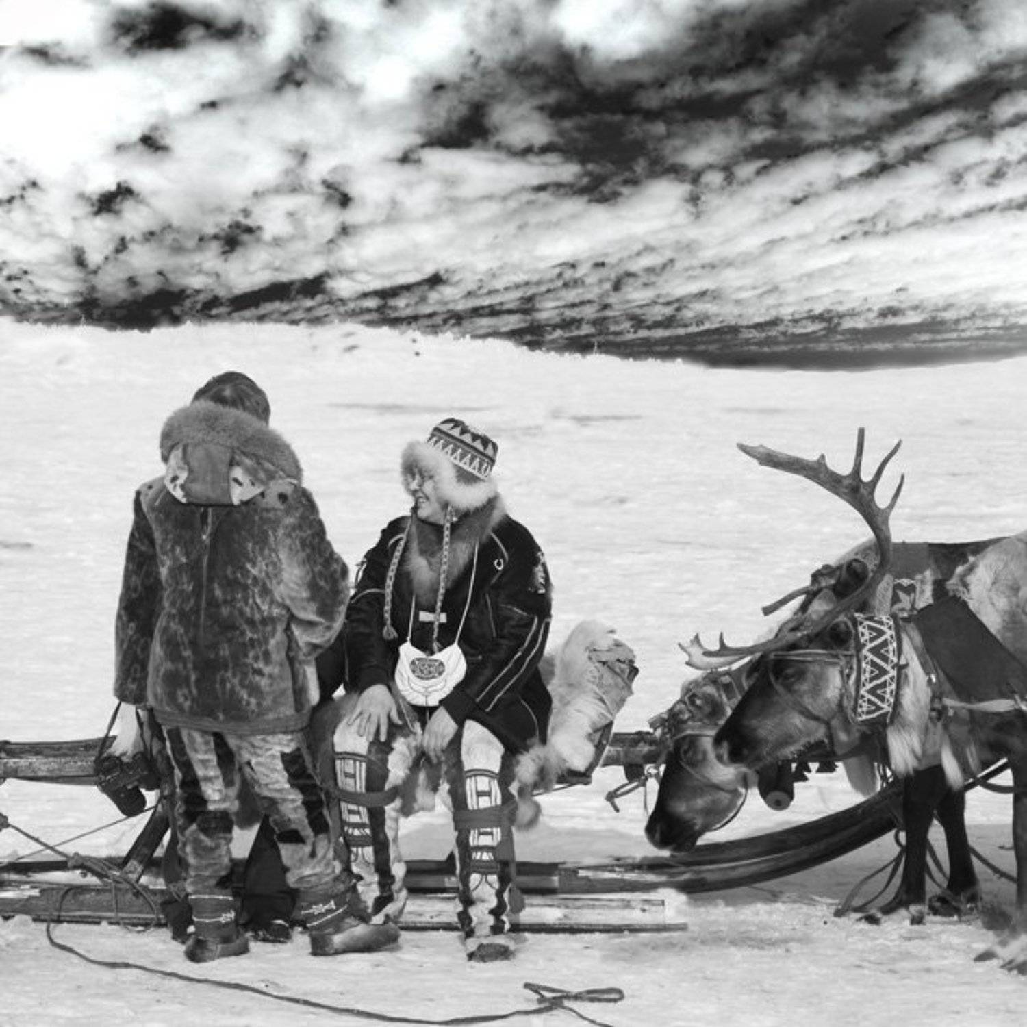 schtadler murmansk, АлексеевПавЮр_schtadler