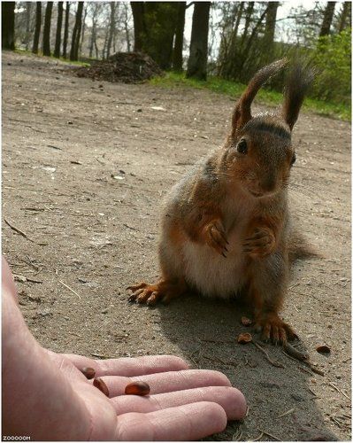 Улыбнитесь, Вас снимают!