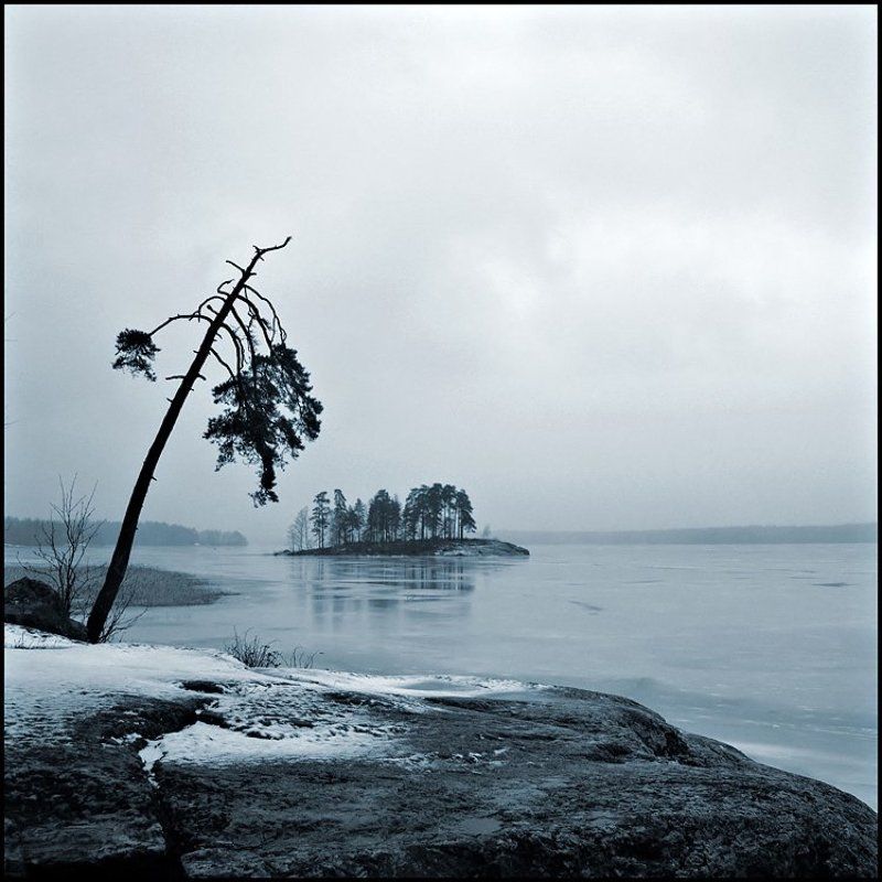 выборг, монрепо меланхолическая фото превью