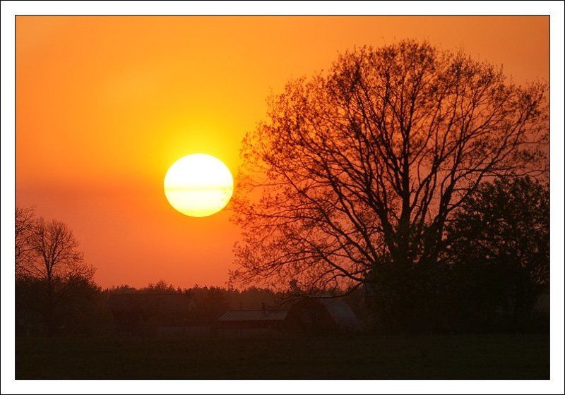закат, дерево, солнце Деревенская закатная фото превью