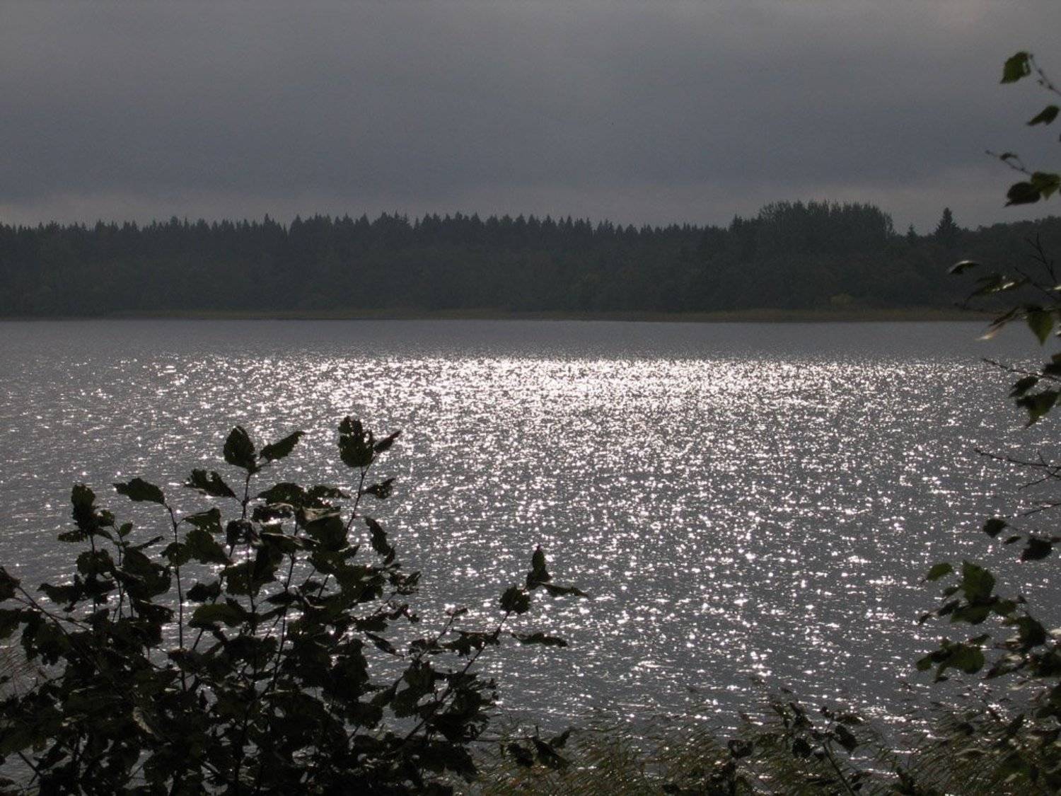 вода, блики, селигер, Tatiana Rozanova