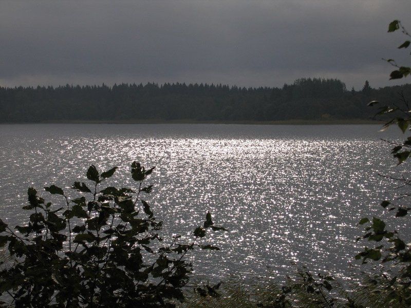 вода, блики, селигер Серебряная вода фото превью