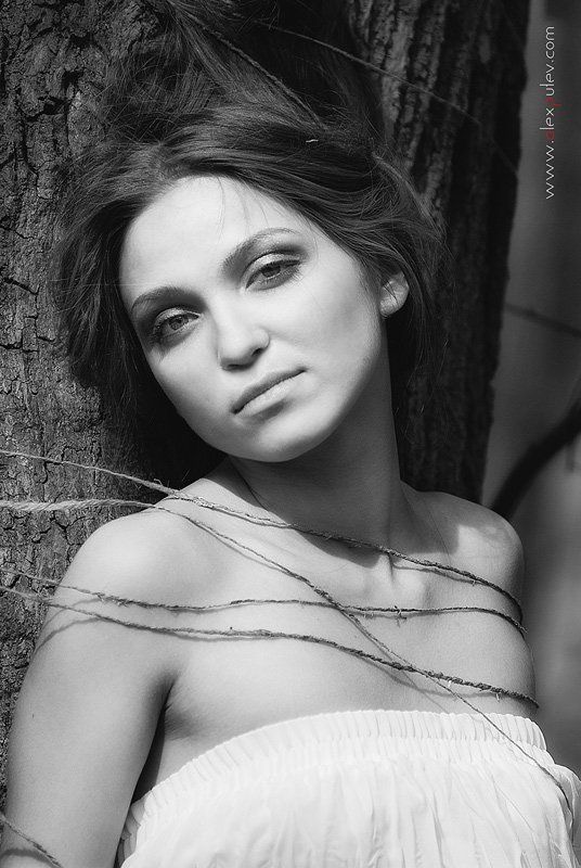 весна,пробуждение,природа,солнце,флора,черное,белое Весеннее пробуждение \\2\\ фото превью