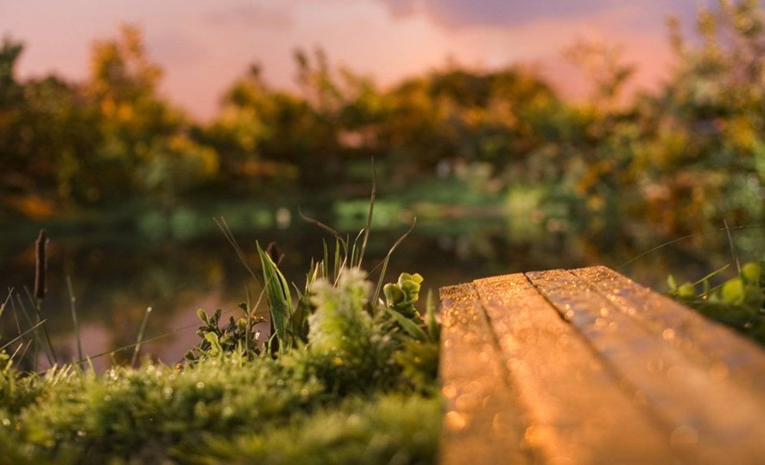 пандорафильм, Евгений Пугачев.