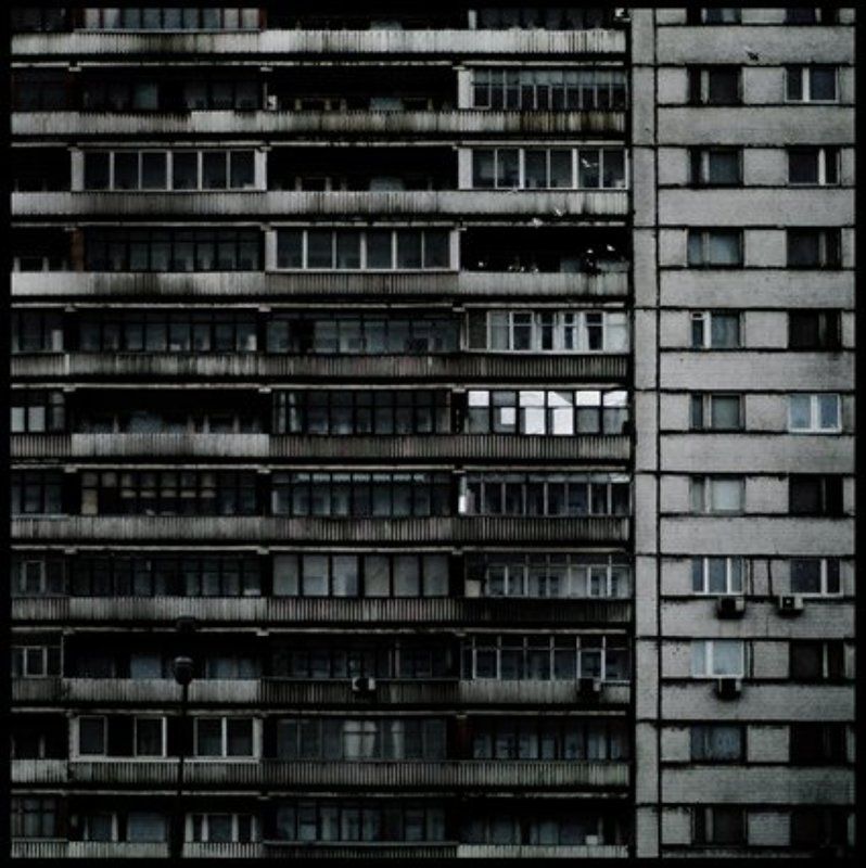 Клетки. фото превью