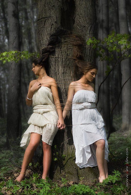 пленницы,лес,весна,природа,жанр,девушки,флора,дриады Дриады фото превью