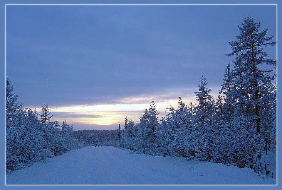 дорога,зима,тайга, Солодухин Виктор