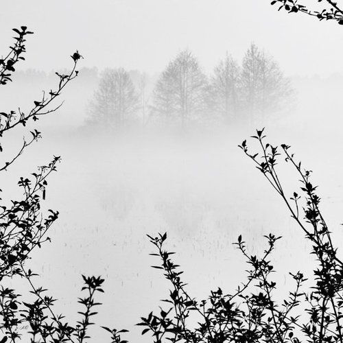 НЕидеальный пейзаж